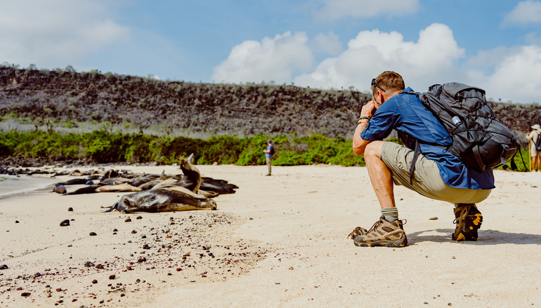 tourist taking pictures of sea lions